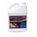 Biosafe GreenCleanFX Liquid Algaecide 1 gal -Pack of 4 3600-1